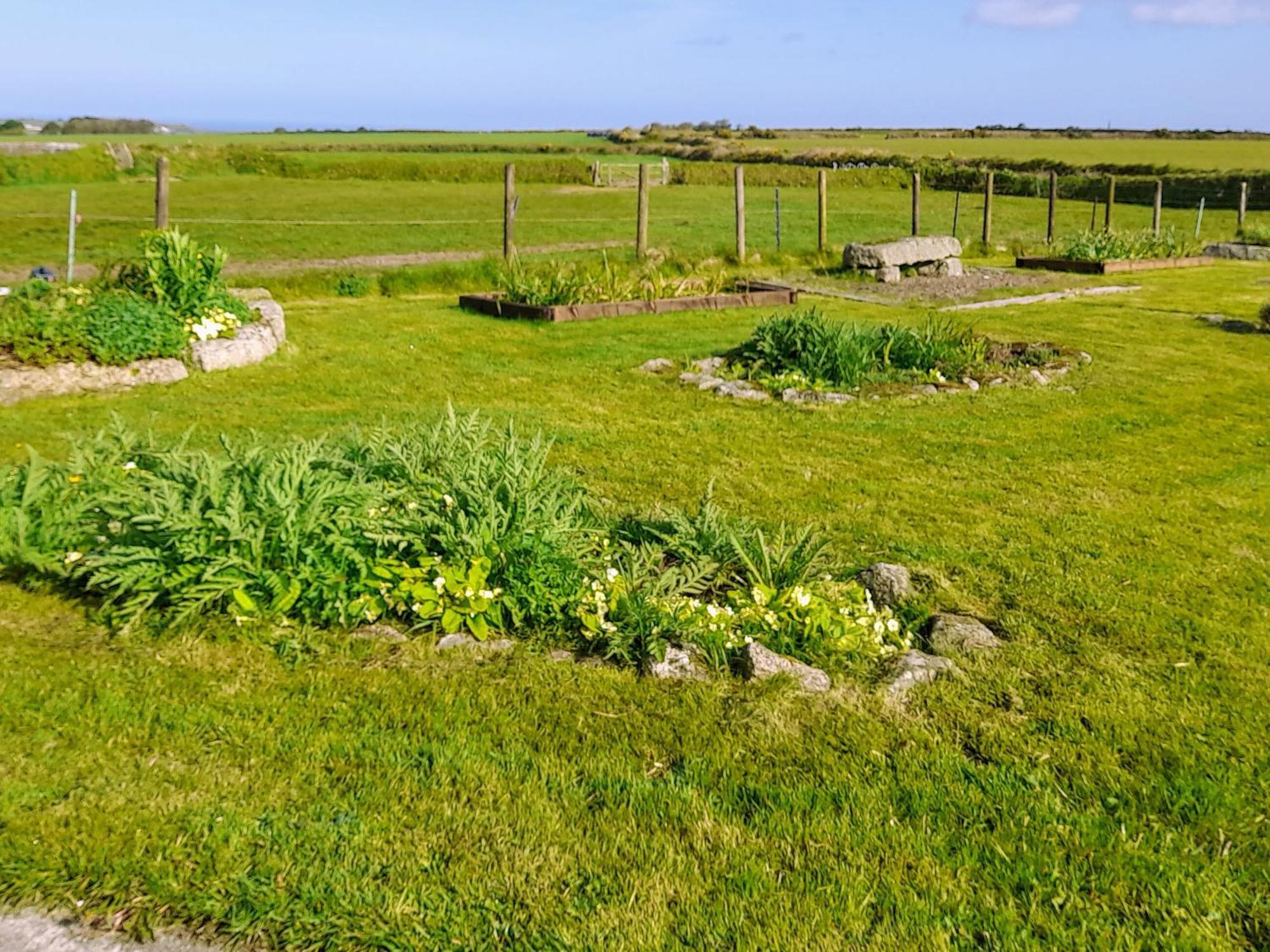 Ash Tree Cottage Carnbrea المظهر الخارجي الصورة